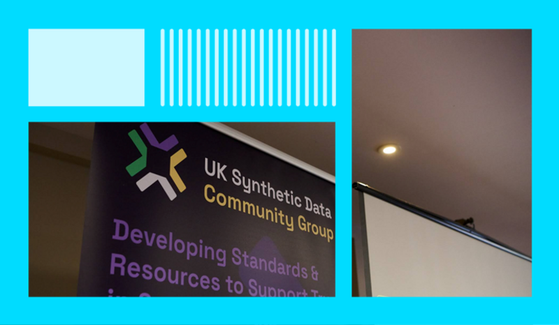 Synthetic Data Working Group: Data owner workshop